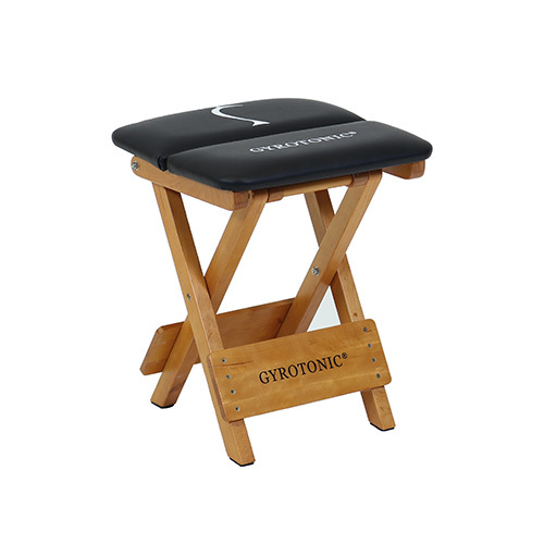 Gyrotonic stool